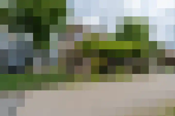 Oostgraftdijk 24 Oost-Graftdijk thumbnail 45