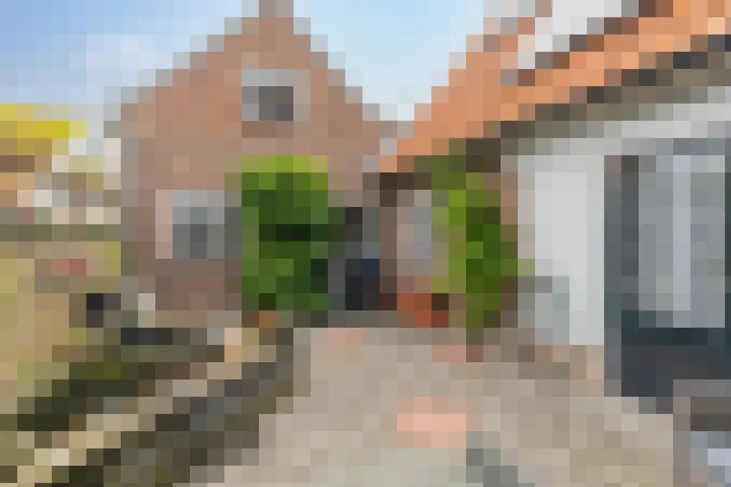 Oostgraftdijk 29 Oost-Graftdijk thumbnail 33