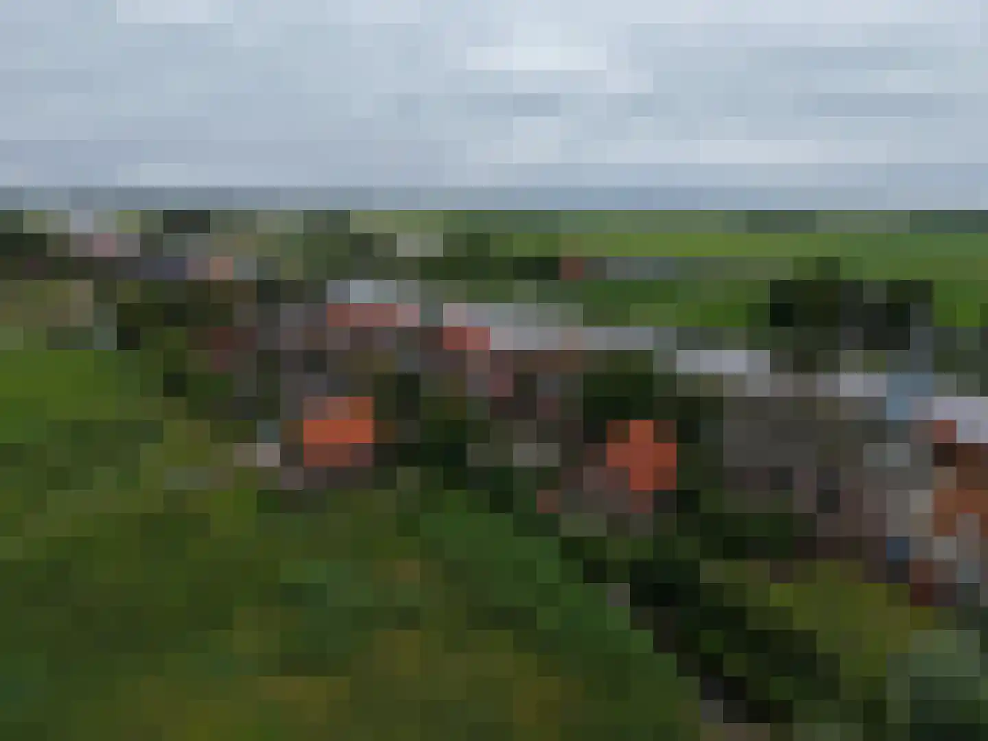 Oostgraftdijk 47 Oost-Graftdijk thumbnail 19