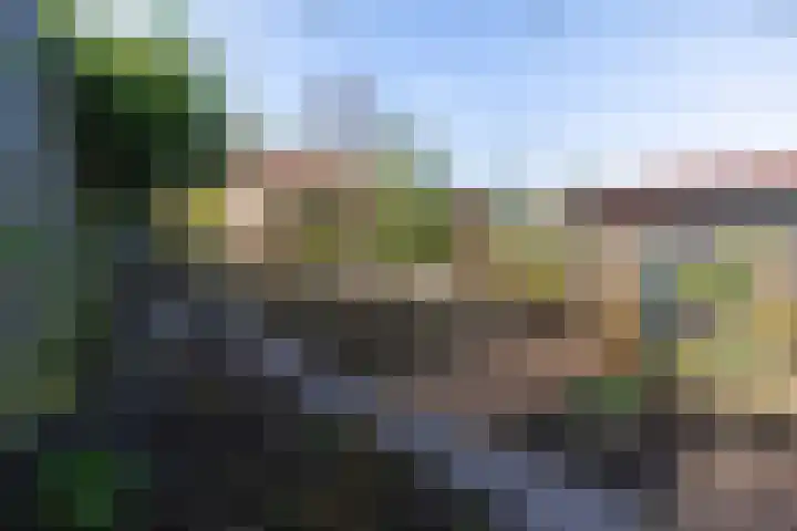 Oostgraftdijk 9 Oost-Graftdijk thumbnail 30