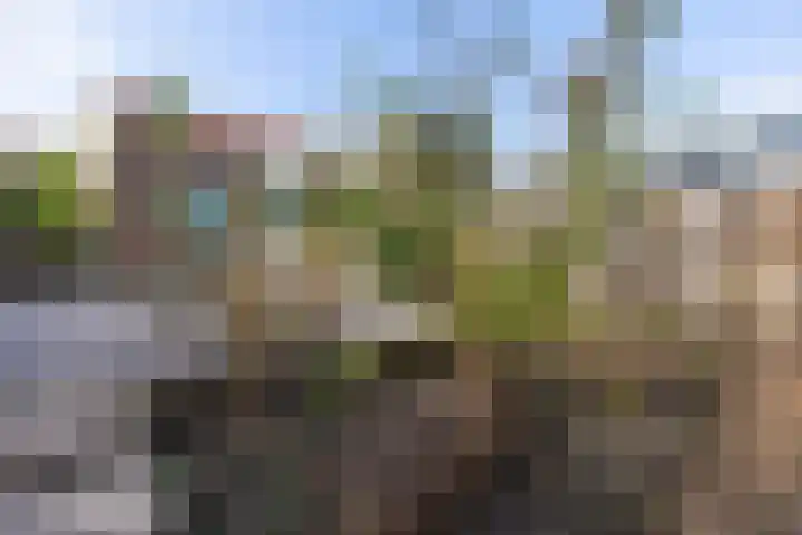 Oostgraftdijk 9 Oost-Graftdijk thumbnail 31