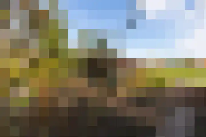 Oostgraftdijk 9 Oost-Graftdijk thumbnail 38