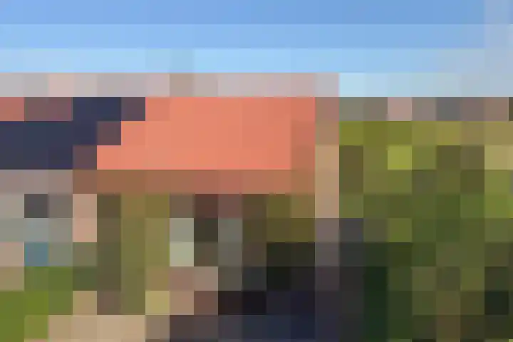 Oostgraftdijk 9 Oost-Graftdijk thumbnail 41