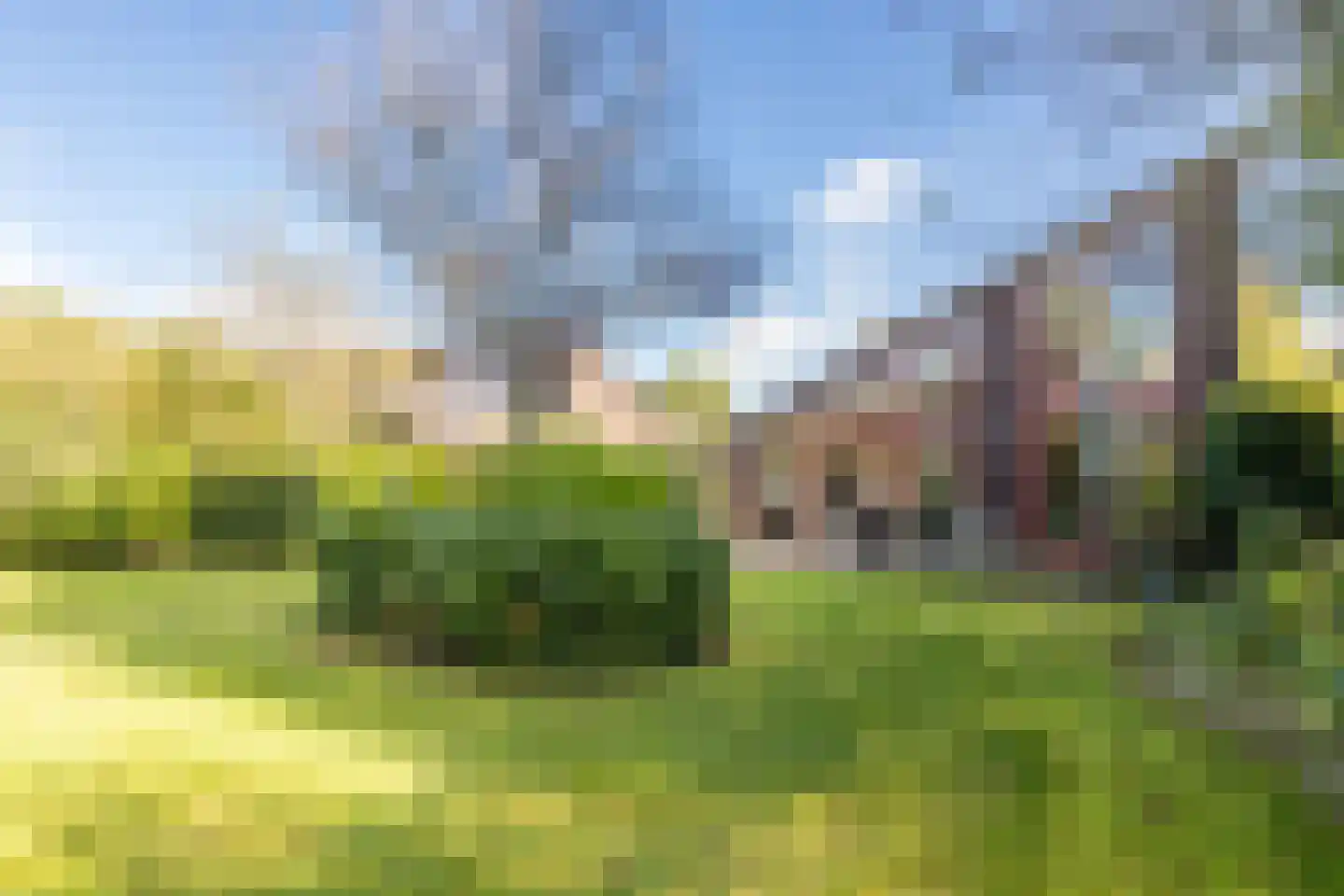 Oostgrasdijk 1 019 in Schoorl