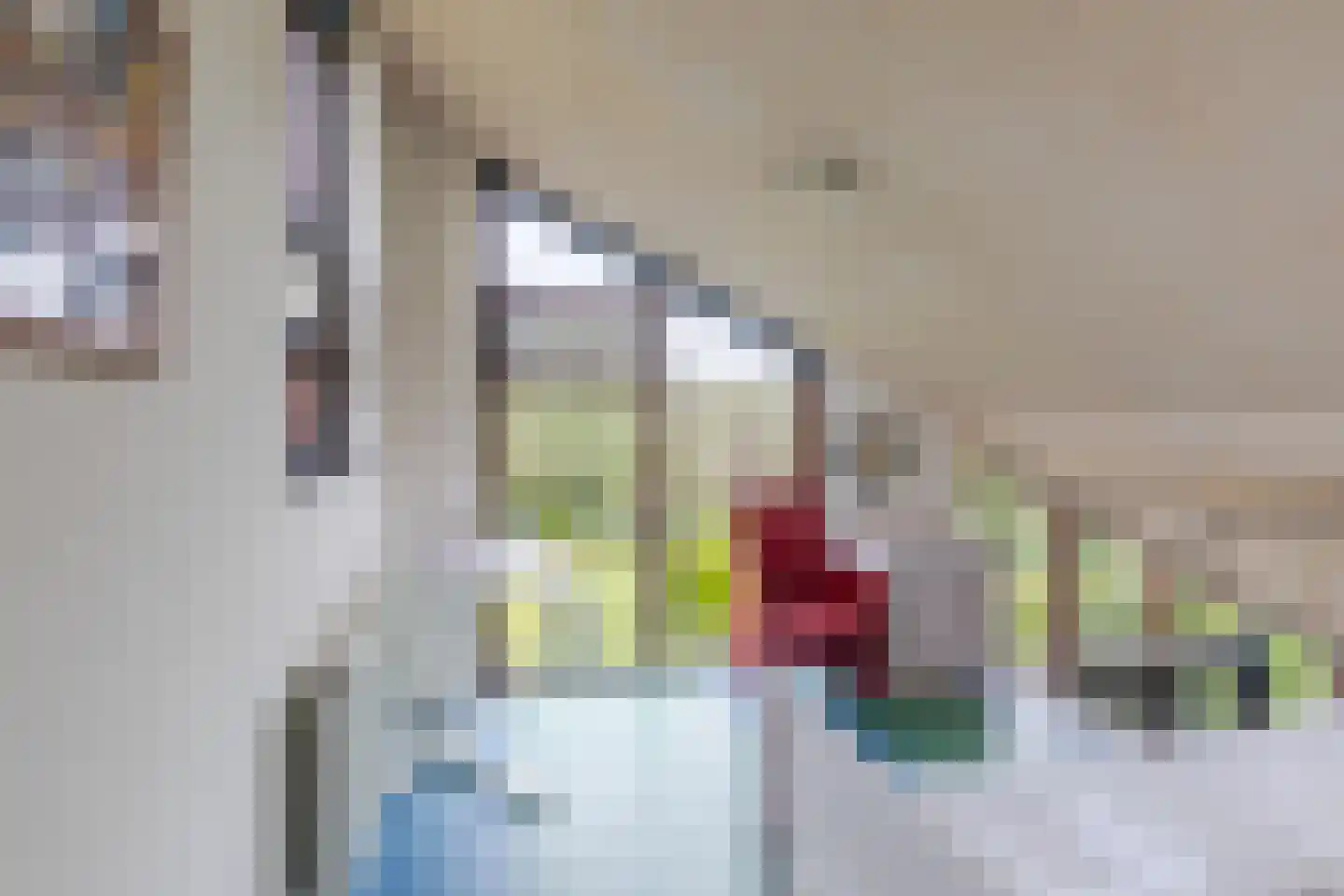 Oostgrasdijk 1 019 Schoorl thumbnail 16