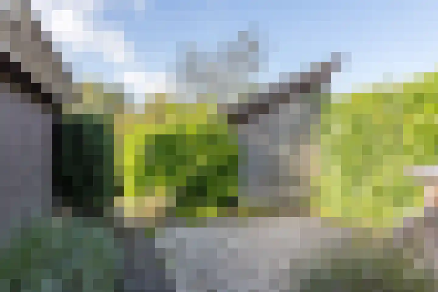 Oostgrasdijk 1 019 Schoorl thumbnail 21