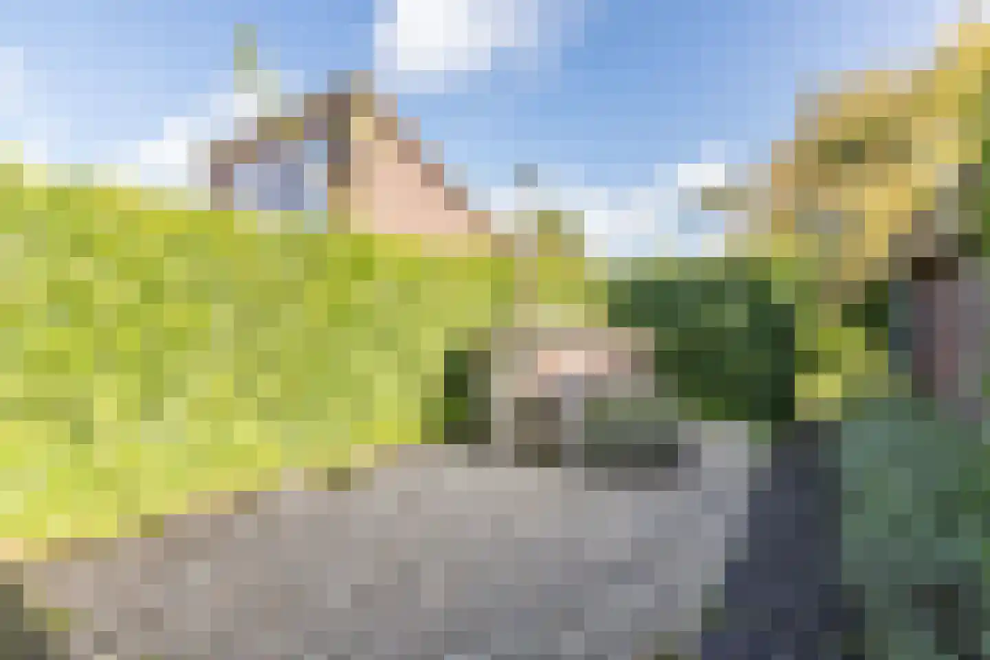 Oostgrasdijk 1 019 Schoorl thumbnail 22