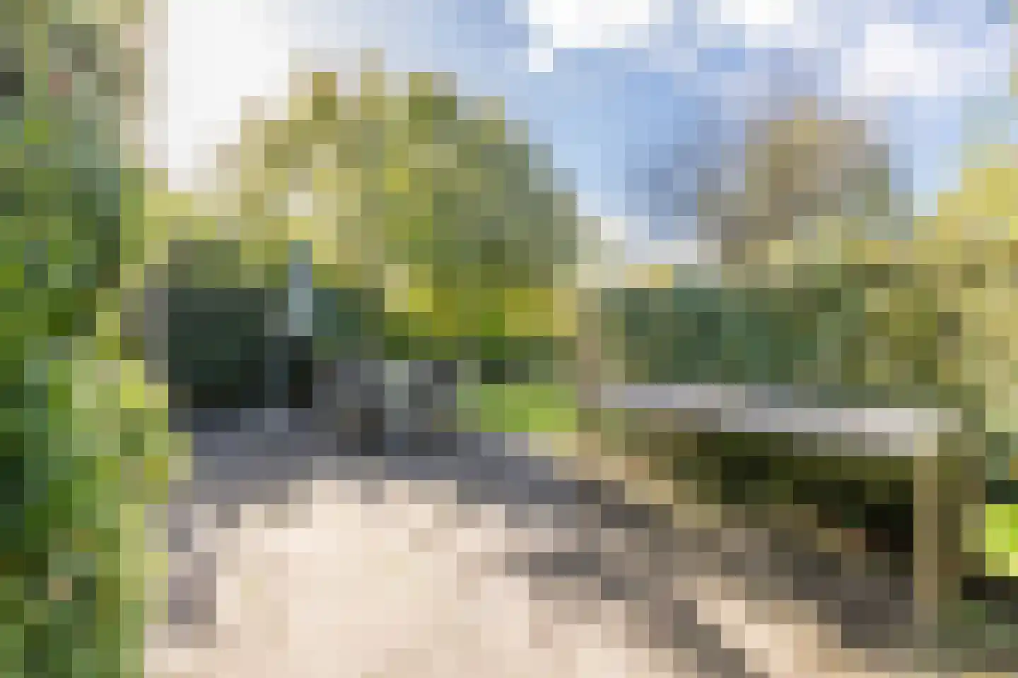 Oostgrasdijk 1 019 Schoorl thumbnail 23
