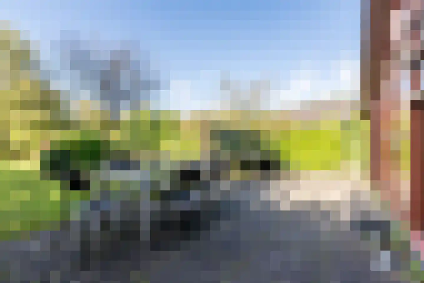 Oostgrasdijk 1 019 Schoorl thumbnail 24