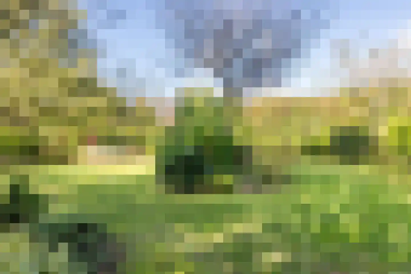 Oostgrasdijk 1 019 Schoorl thumbnail 26
