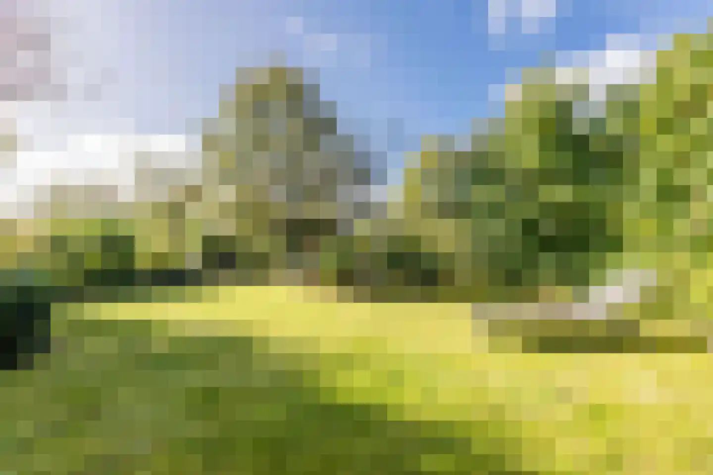 Oostgrasdijk 1 019 Schoorl thumbnail 27