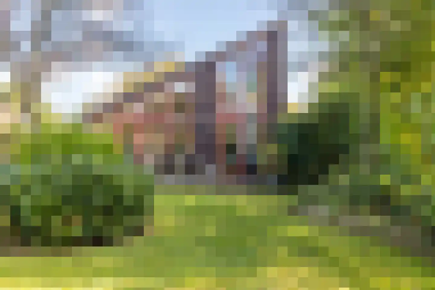 Oostgrasdijk 1 019 Schoorl thumbnail 28