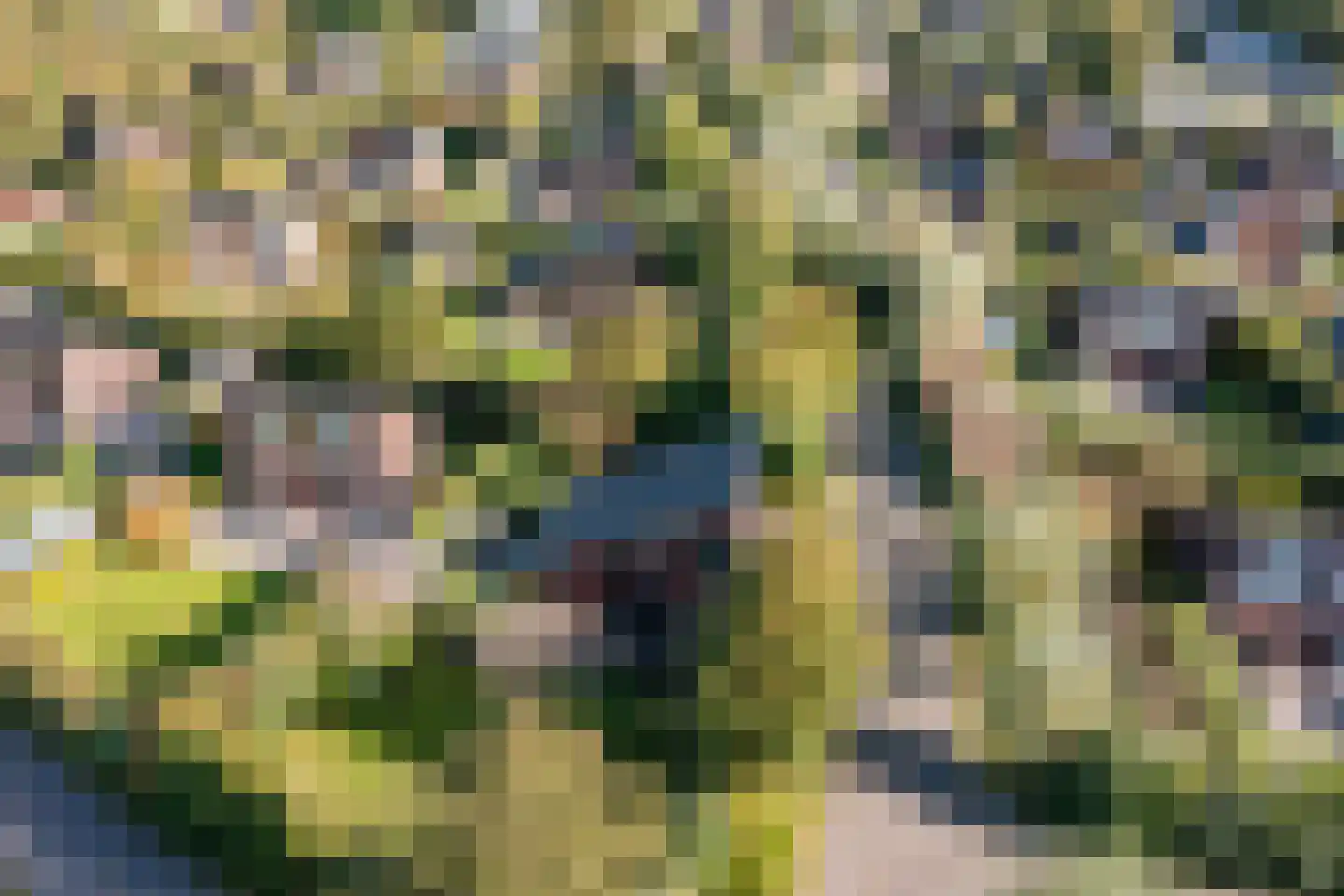 Oostgrasdijk 1 019 Schoorl thumbnail 30