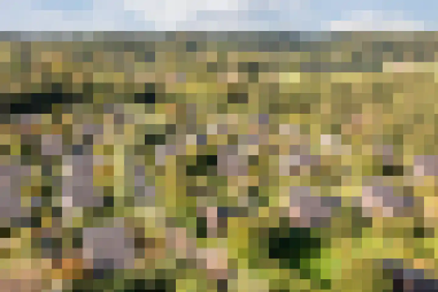 Oostgrasdijk 1 019 Schoorl thumbnail 31