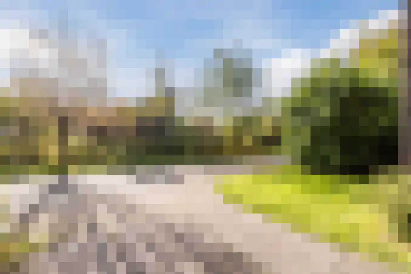 Oostgrasdijk 1 019 Schoorl thumbnail 5