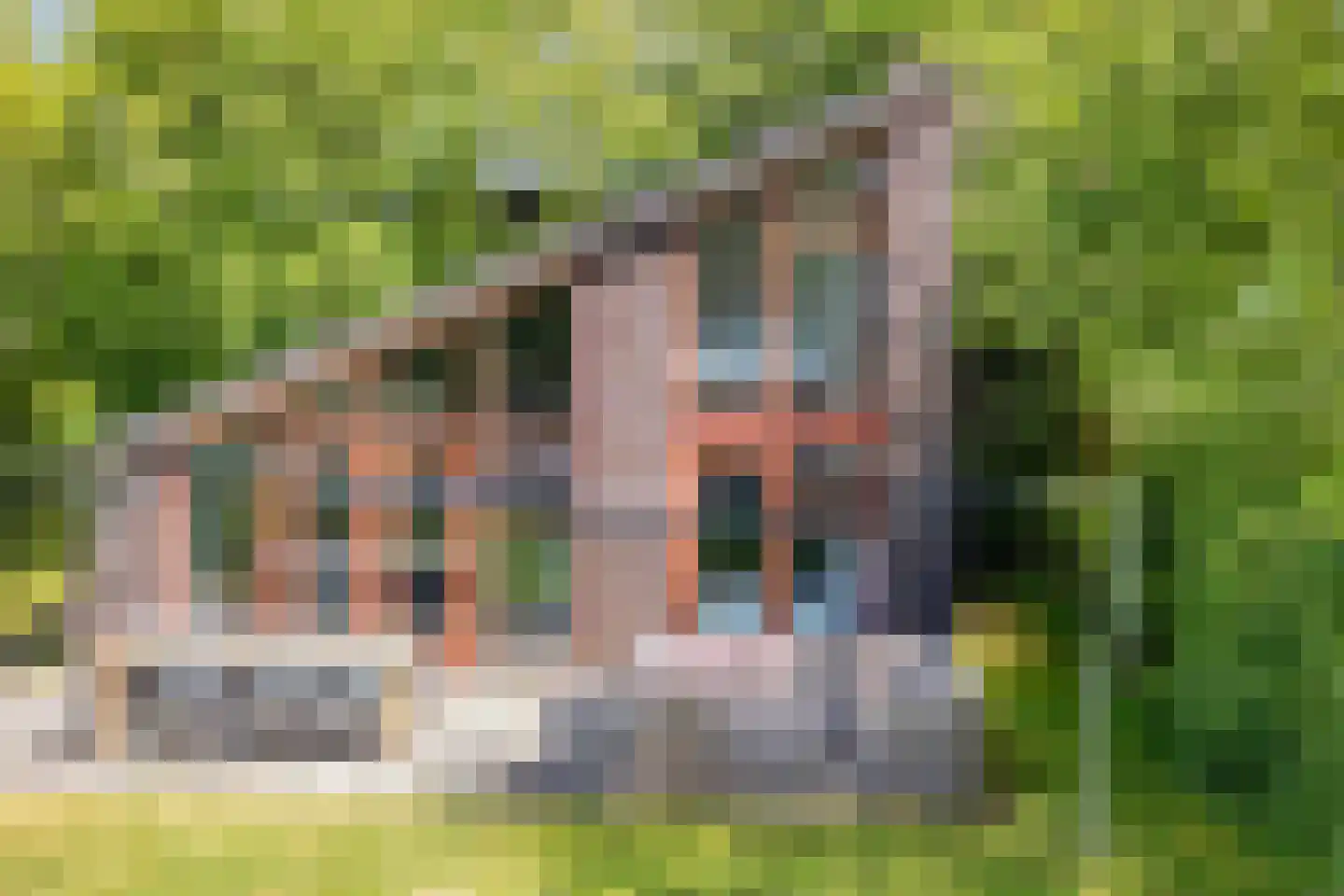 Oostgrasdijk 1 051 Schoorl