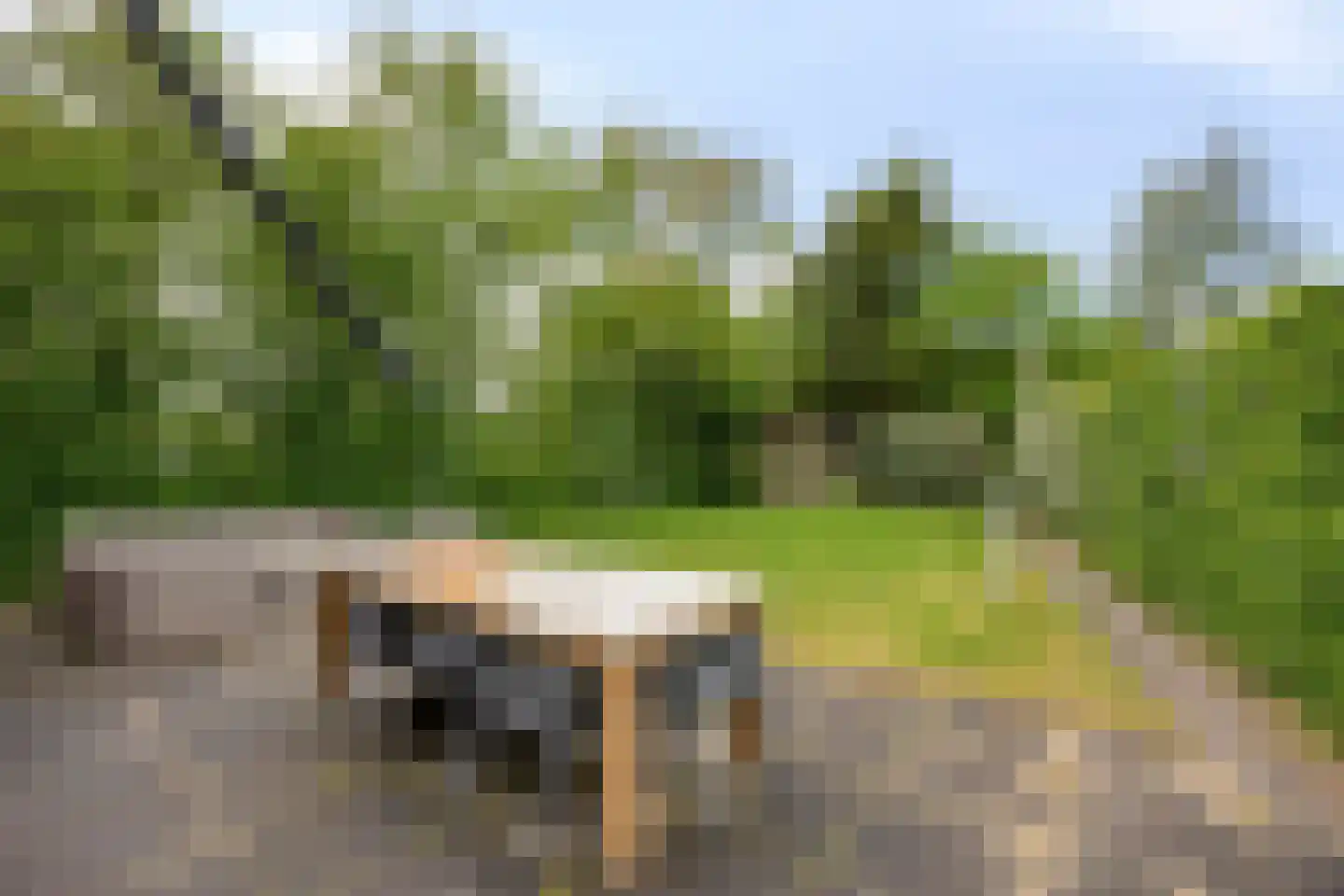 Oostgrasdijk 1 051 Schoorl thumbnail 20