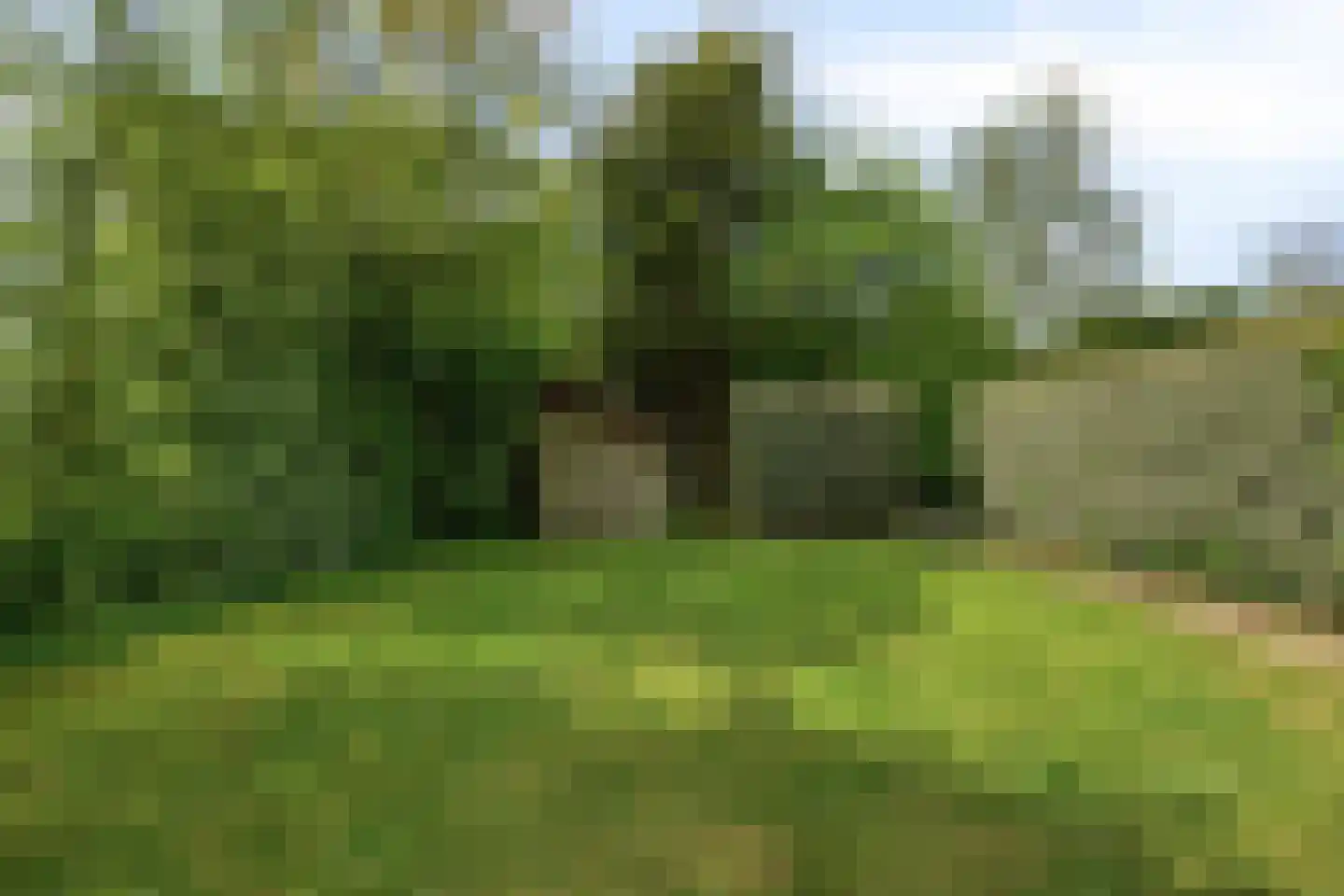 Oostgrasdijk 1 051 Schoorl thumbnail 21