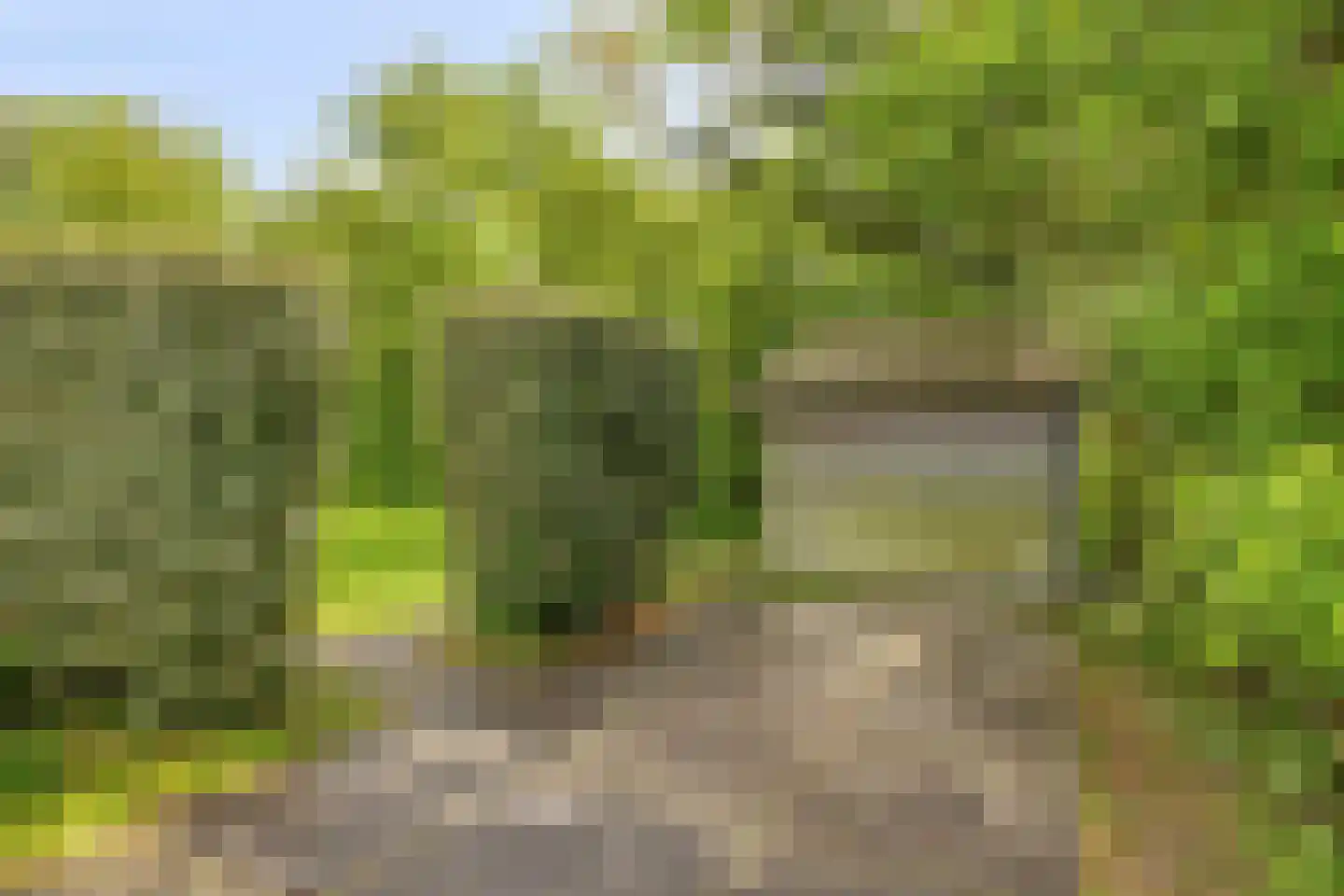 Oostgrasdijk 1 051 Schoorl thumbnail 22