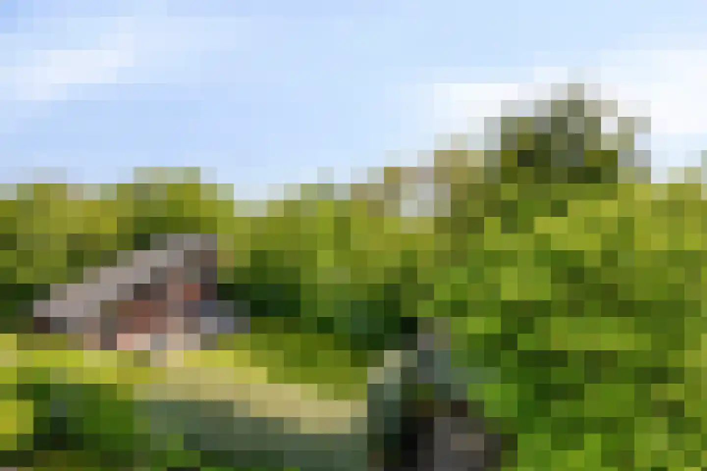 Oostgrasdijk 1 051 Schoorl thumbnail 24