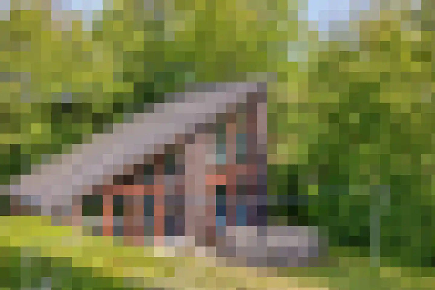 Oostgrasdijk 1 051 Schoorl thumbnail 4