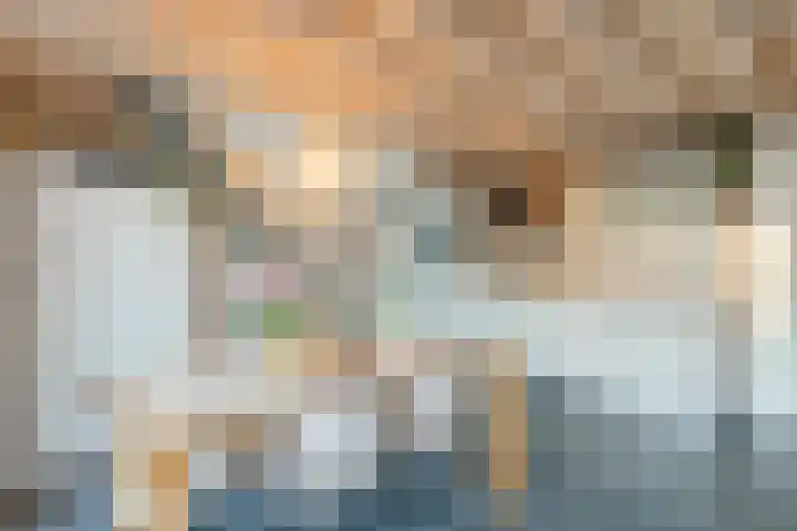 Oostgrasdijk 1 069 Schoorl thumbnail 15