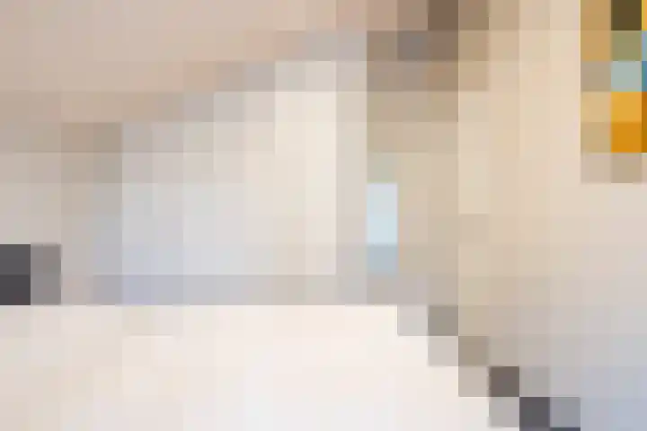 Oostgrasdijk 1 069 Schoorl thumbnail 22