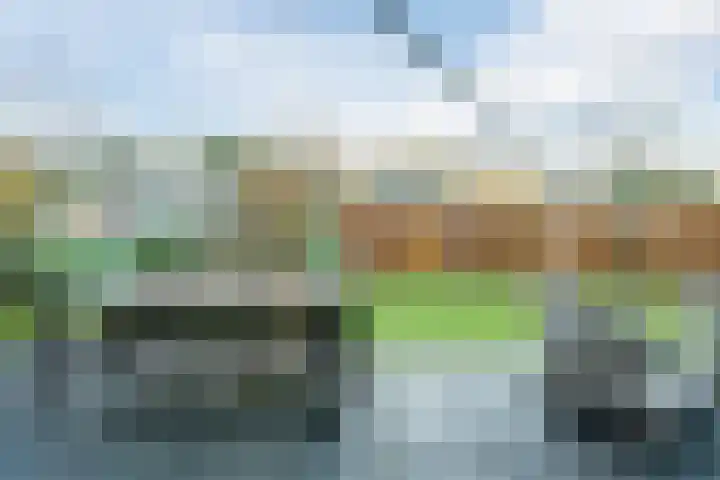 Oostgrasdijk 1 069 Schoorl thumbnail 34