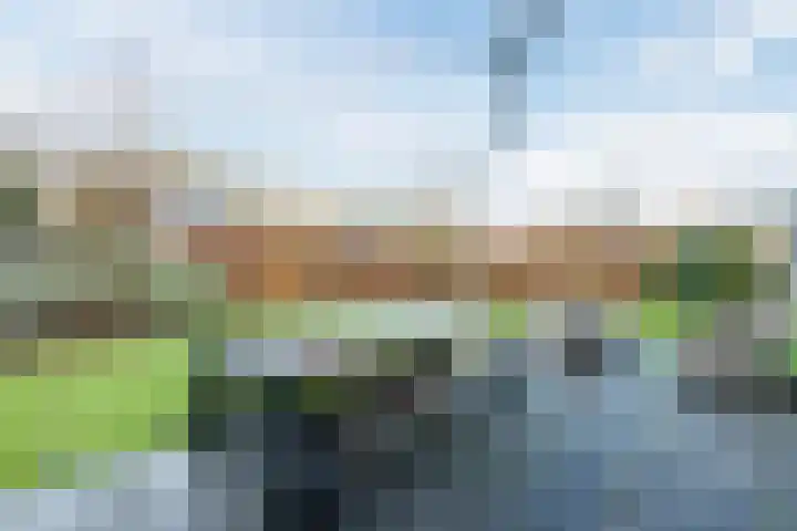 Oostgrasdijk 1 069 Schoorl thumbnail 35