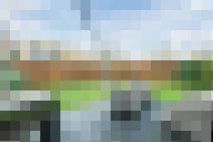 Oostgrasdijk 1 069 Schoorl thumbnail 36