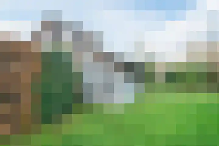 Oostgrasdijk 1 069 Schoorl thumbnail 37