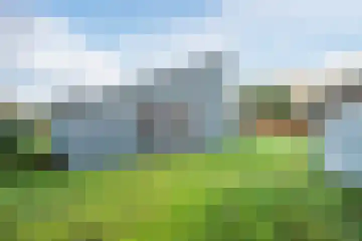Oostgrasdijk 1 069 Schoorl thumbnail 38