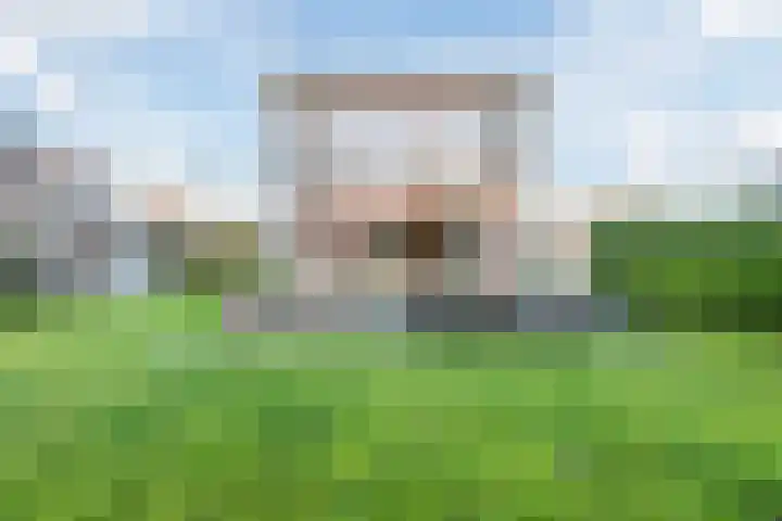 Oostgrasdijk 1 069 Schoorl thumbnail 39