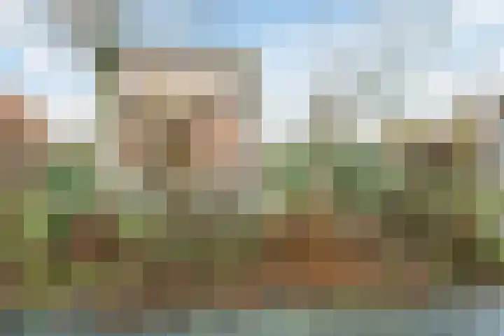 Oostgrasdijk 1 069 Schoorl thumbnail 40