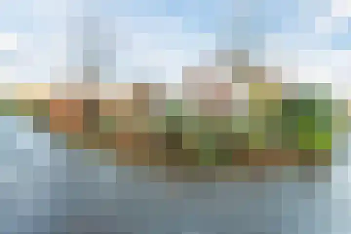 Oostgrasdijk 1 069 Schoorl thumbnail 41