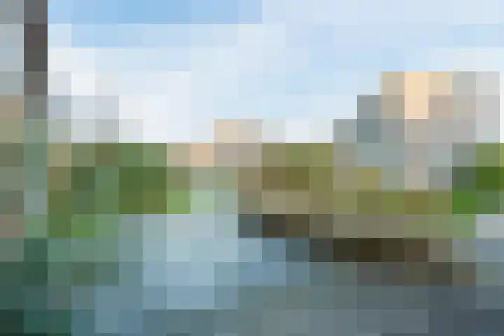 Oostgrasdijk 1 069 Schoorl thumbnail 43
