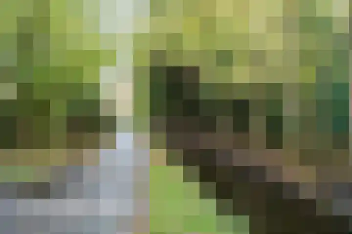 Oostgrasdijk 1 069 Schoorl thumbnail 46
