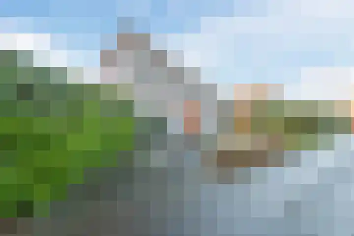 Oostgrasdijk 1 069 Schoorl thumbnail 6