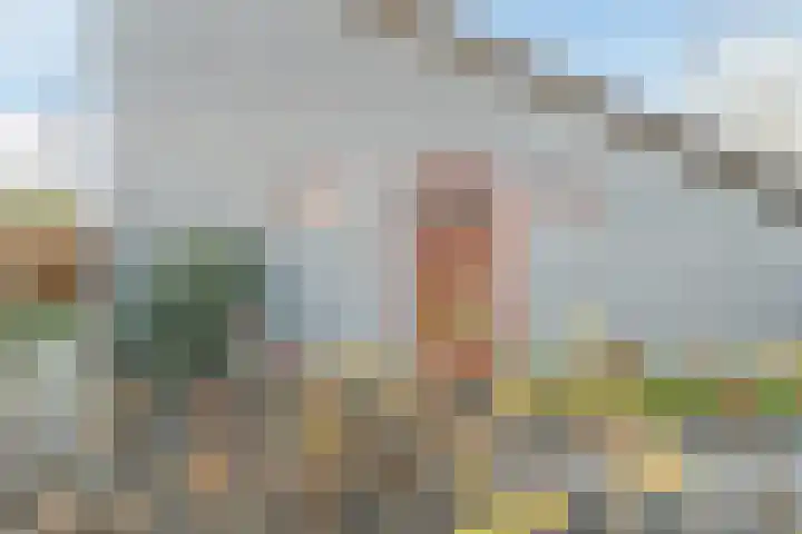 Oostgrasdijk 1 069 Schoorl thumbnail 8