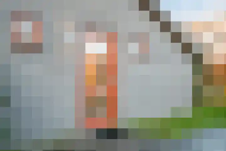 Oostgrasdijk 1 069 Schoorl thumbnail 9