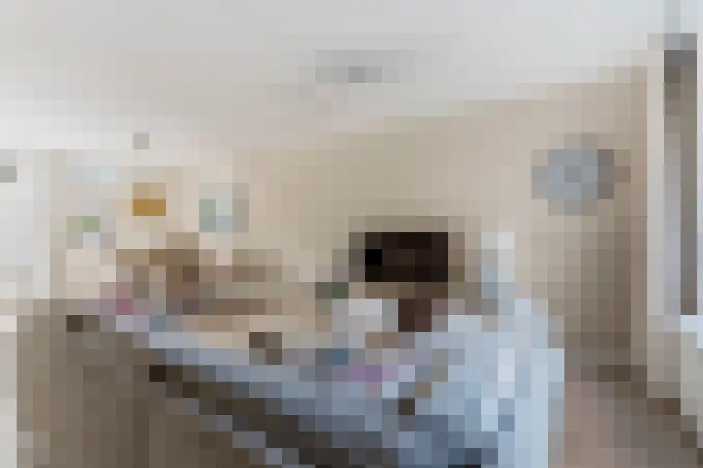 Oostgriend 101 Almere thumbnail 18