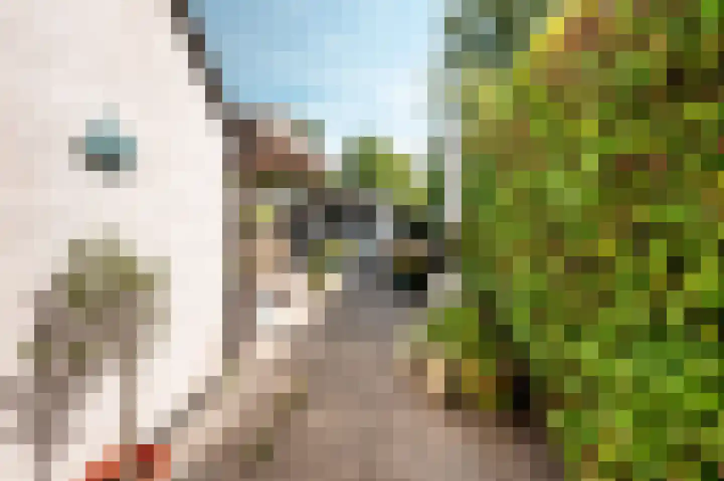 Oostgriend 13 Almere thumbnail 27