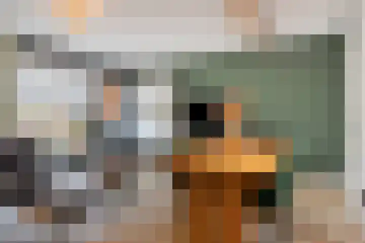 Oosthaag 49 Oss thumbnail 12