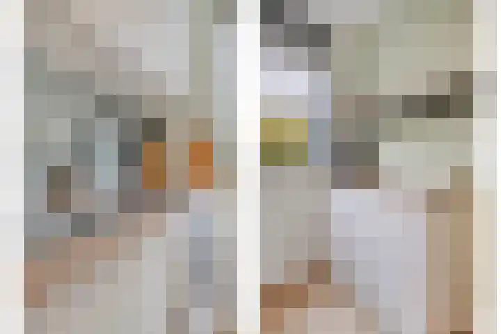 Oosthaag 49 Oss thumbnail 14