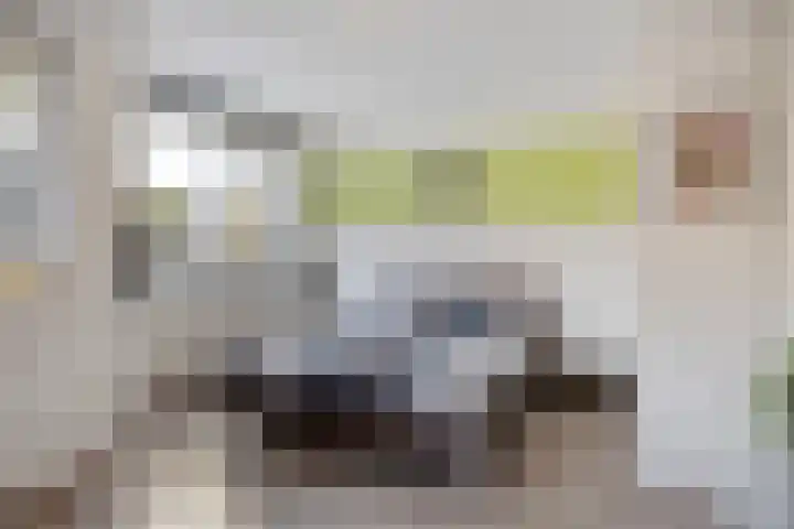 Oosthaag 49 Oss thumbnail 18