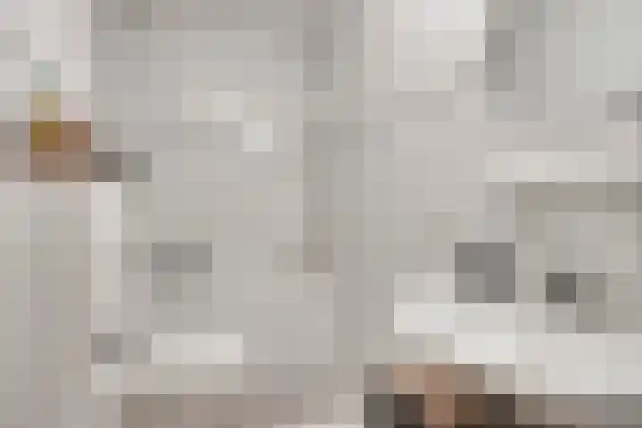 Oosthaag 49 Oss thumbnail 20