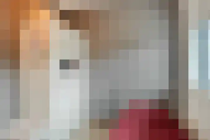 Oosthaag 49 Oss thumbnail 24