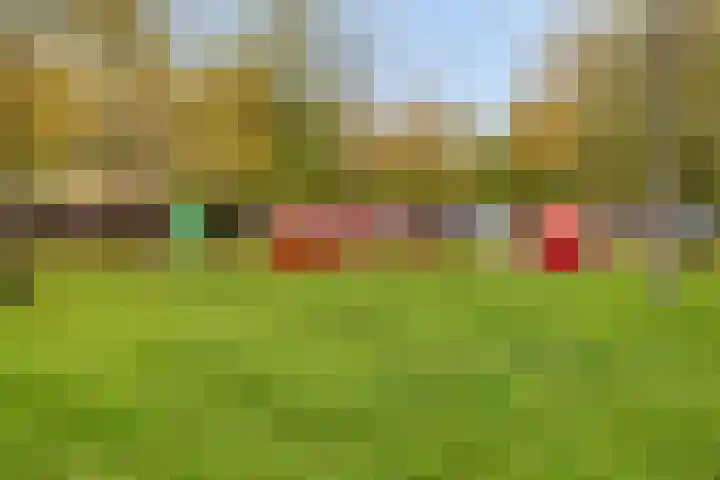 Oosthaag 49 Oss thumbnail 33