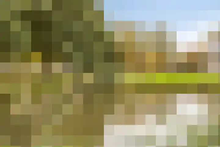 Oosthaag 49 Oss thumbnail 34