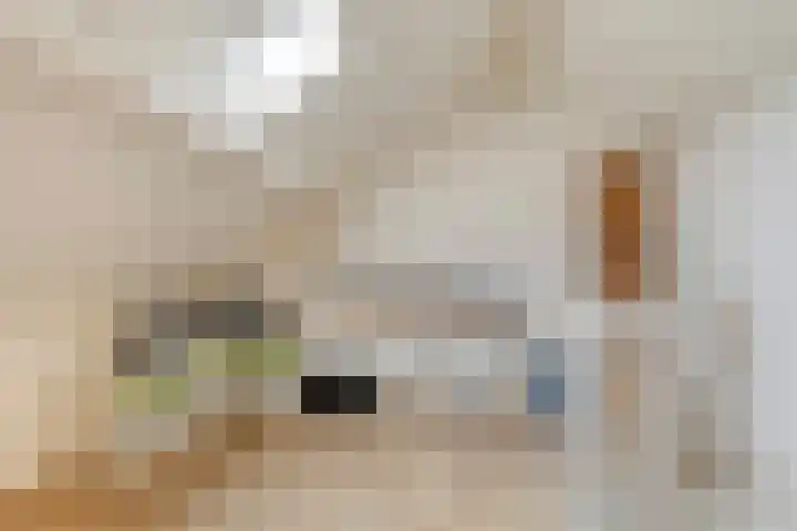 Oosthaag 53 Oss thumbnail 20
